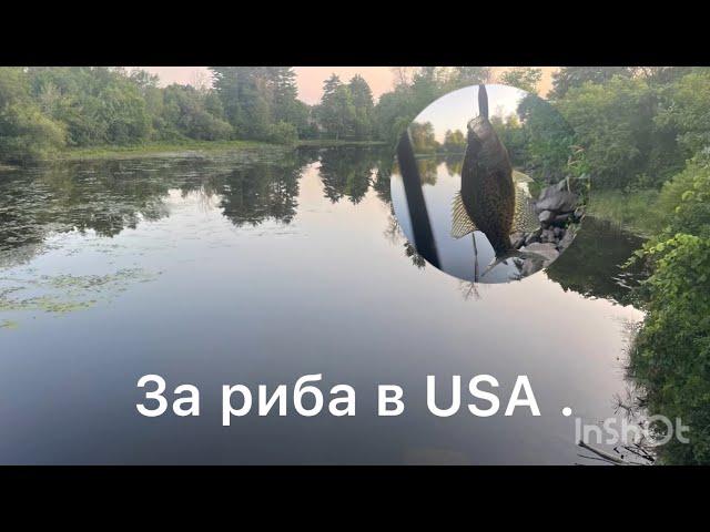 Работа като шофьор в USA . Заплата и живот в Америка.