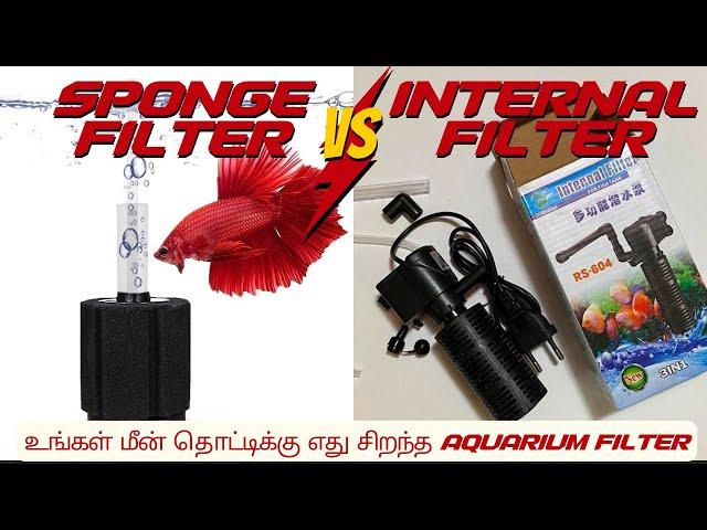 Sponge Filter vs Internal Filter | உங்கள் மீன் தொட்டிக்கு எது சிறந்தது !!!