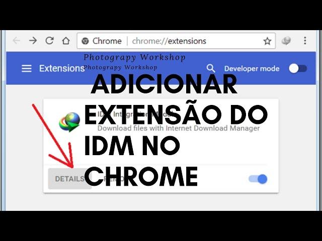 Adicionar extensão do IDM no chrome