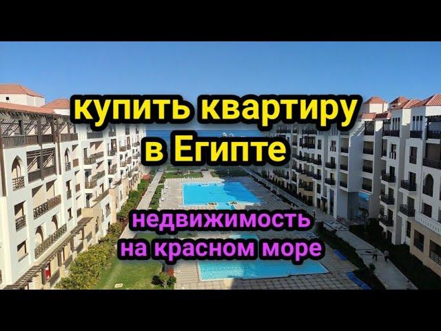 САМРА БЭЙ/ НЕДВИЖИМОСТЬ В ЕГИПТЕ жизнь на красном море️купить квартиру в Египте/ элитная недвижка