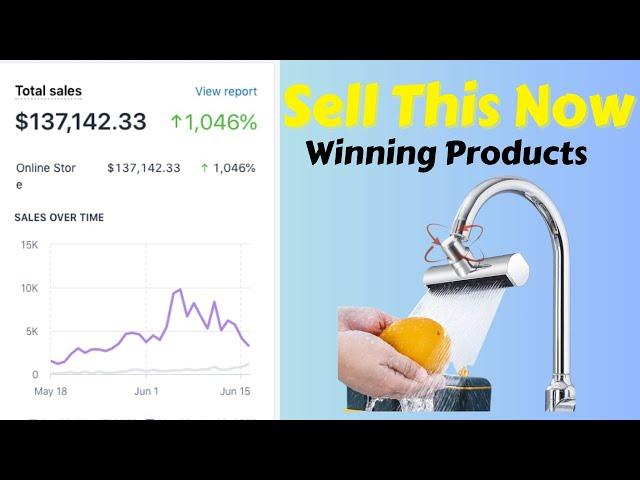 Sell This Now! Kitchen Winning Dropshipping Products to Earn Up to $8K USD 