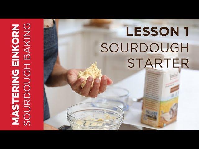 Einkorn Sourdough Starter - Mastering Einkorn Sourdough Baking : Lesson 1