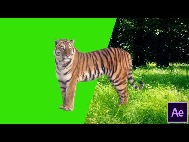 green screen tracking compositing tutorial using after effects - || EKKA Fx ||