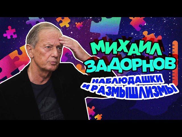Михаил Задорнов - Наблюдашки и размышлизмы | Юмористический концерт 2015