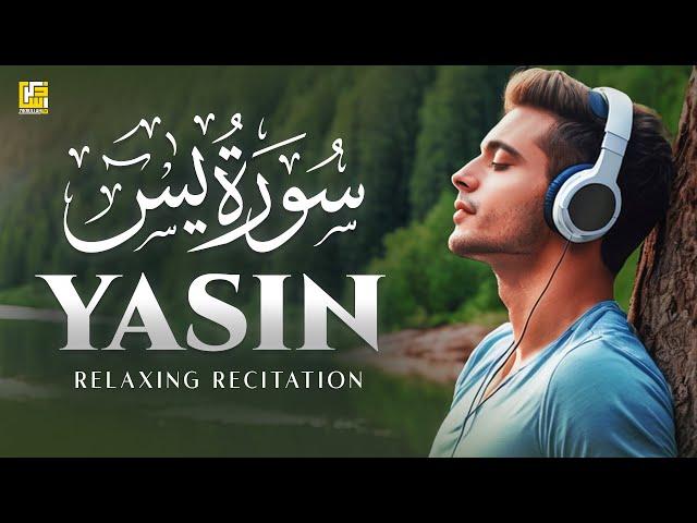 Very Calming Recitation of Surah Yaseen (سورة يس) | PEACE | Zikrullah TV