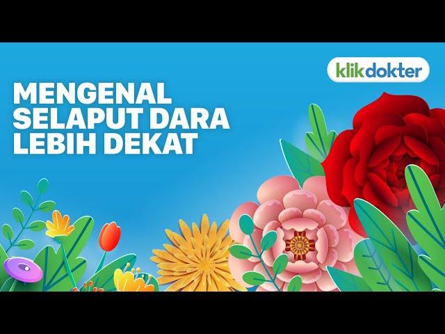 MENGENAL SELAPUT DARA LEBIH DEKAT