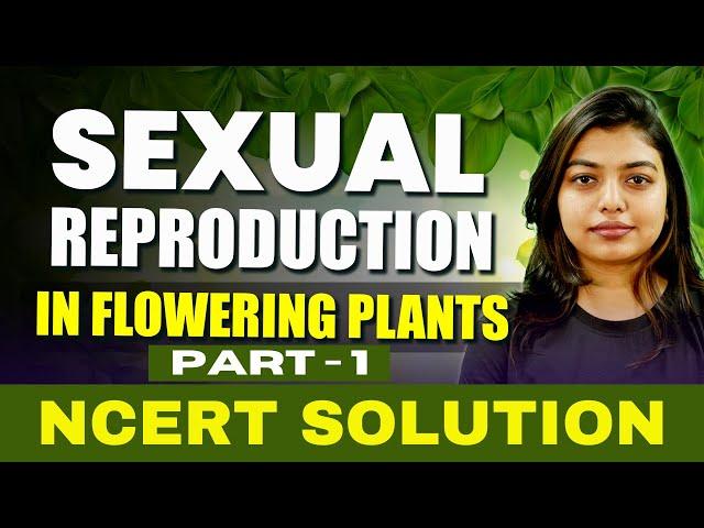 Sexual Reproduction In Flowering Plants | Class 12 Biology | NCERT Solution