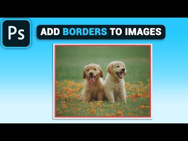 How To Add Border To Images in Photoshop