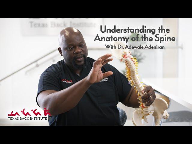 Understanding the Anatomy of the Spine with Dr Adewale Adeniran | Texas Back Institute