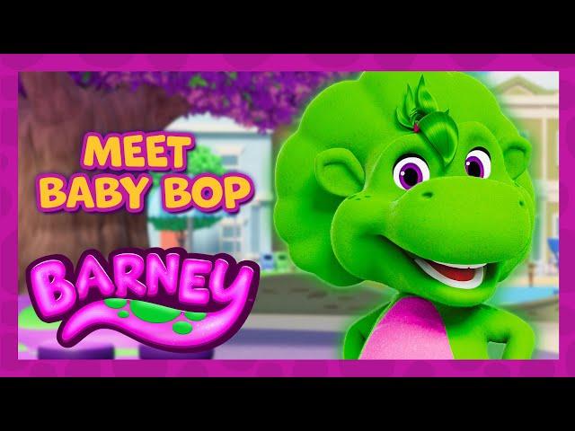 Let's Meet BABY BOP | Barney's World | Character Intro