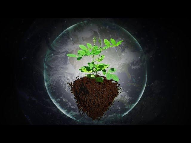 Music for Plants - Music Stimulation for PLANT HEALTH - Brainwave Entrainment