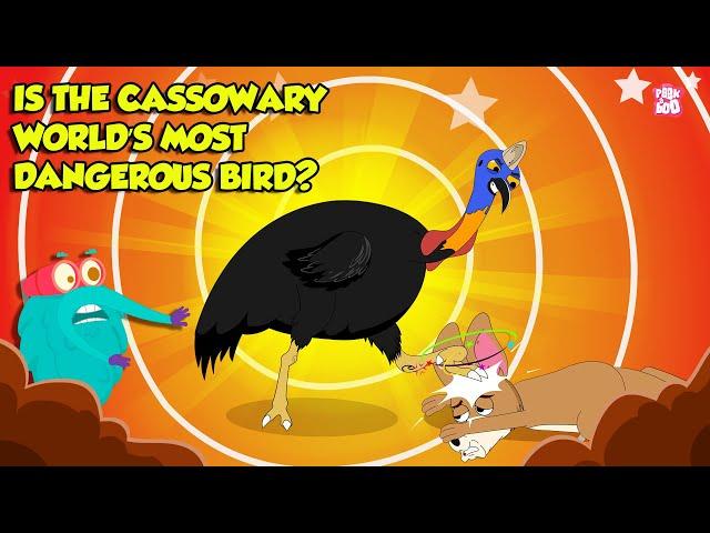 The World’s Most Dangerous Bird - The Cassowary | Modern Day Dinosaurs | The Dr. Binocs Show