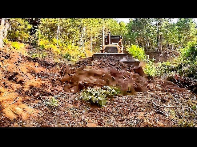 In the Forest with Dozer [Forest ROAD Construction] Road JOINING New Road Construction Caterpillar