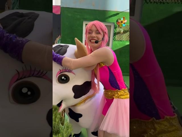 La Vaca Lola, con Luli Pampín  #cantajuego #vacalola  #lulipampin