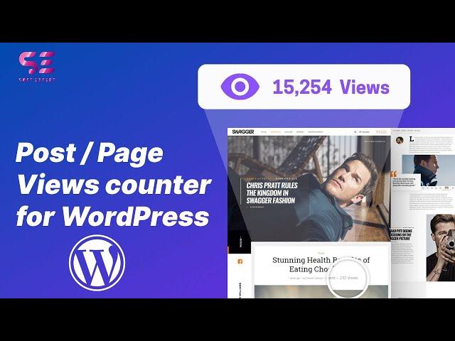 How to add Page Views Counter in WordPress