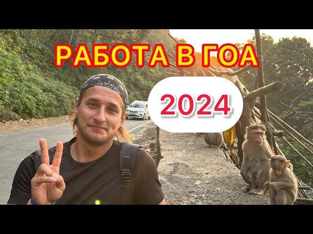 Как найти работу в Гоа в 2024 году?