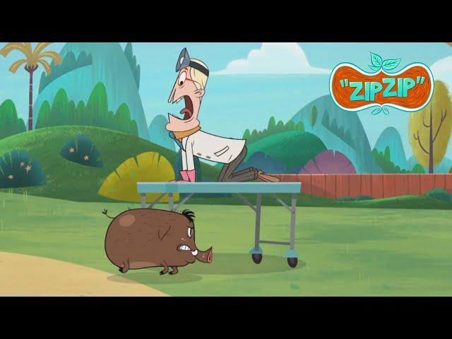 Run for your life!!! | Zip Zip English | Full Episodes | 3H | S1 | Cartoon for kids