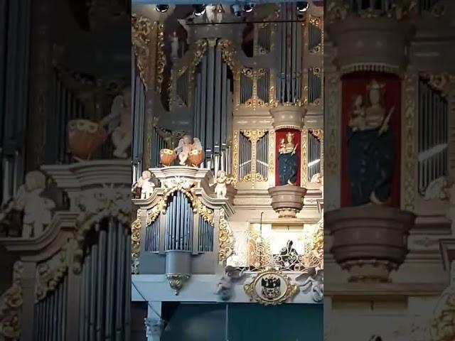 Органная музыка в соборе Калининграда