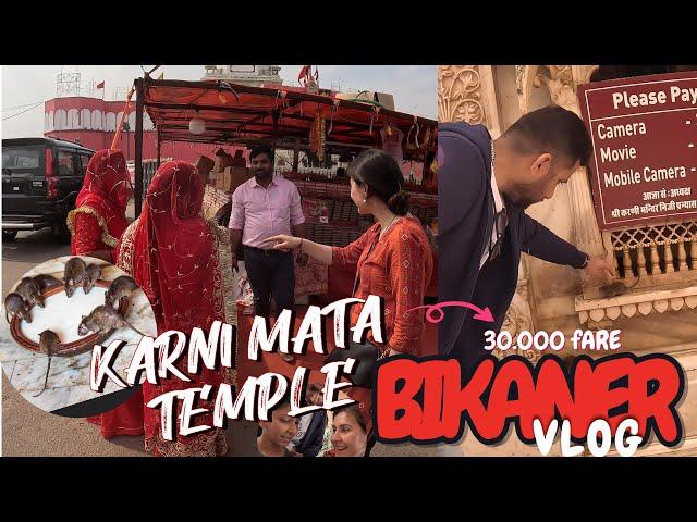 Fare Tapınağında yeri yalayan kadını gördümBikaner Karni Mata Temple Vlog || Welcome to Rat Temple