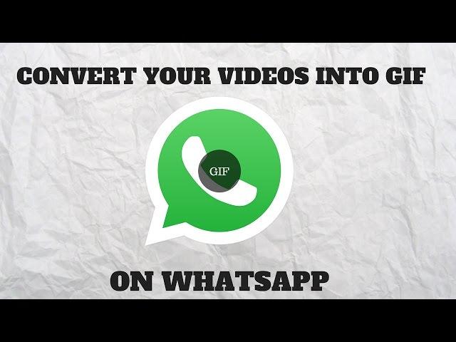 How to Convert Videos into GIF on WhatsApp