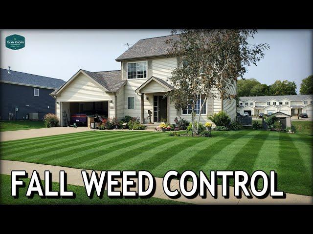 Is Fall The BEST TIME to SPRAY Cool Season Grass??