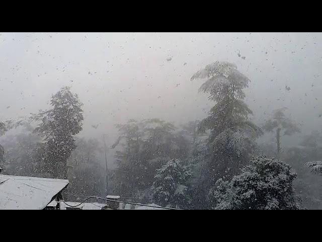 Shimla Snowfall 4 Feb 2021