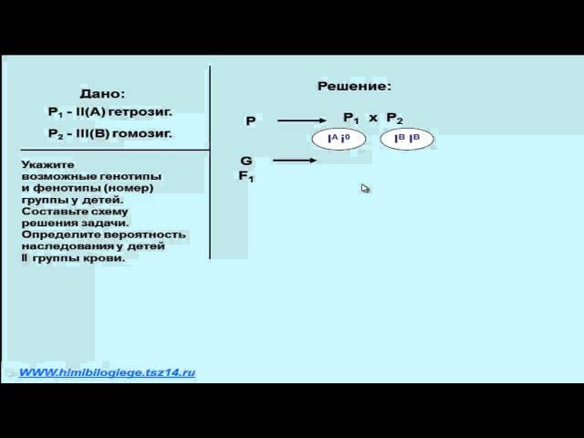 Задача по генетике