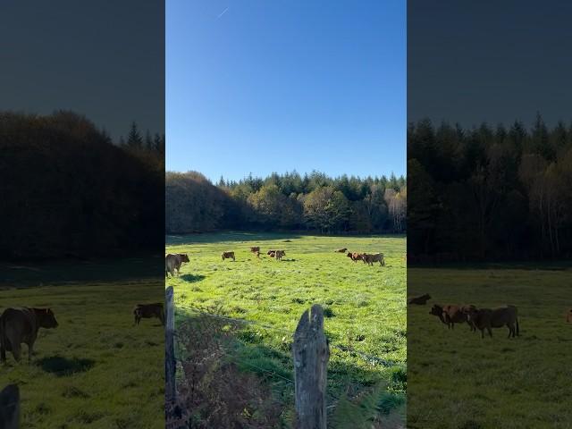 La campagne ça vous gagne !!! Non di diou 