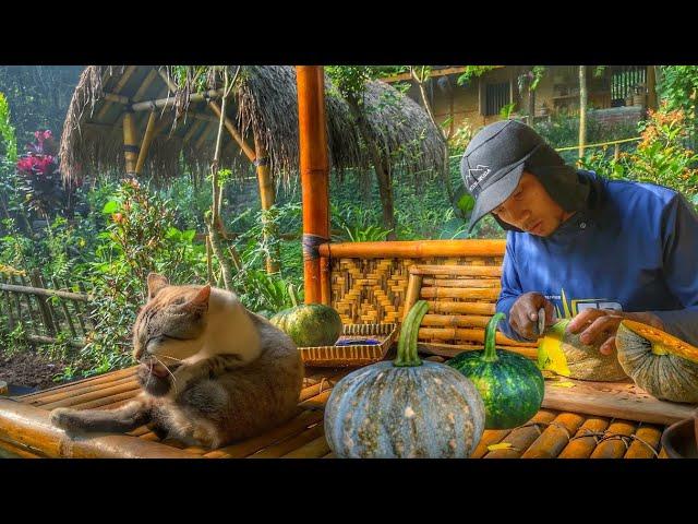 A father productive in the village during Ramadan | Gardening and harvesting pumpkins for iftar