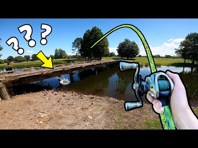 1v1 Random Lures ONLY Bass Fishing Tournament (INSANE)