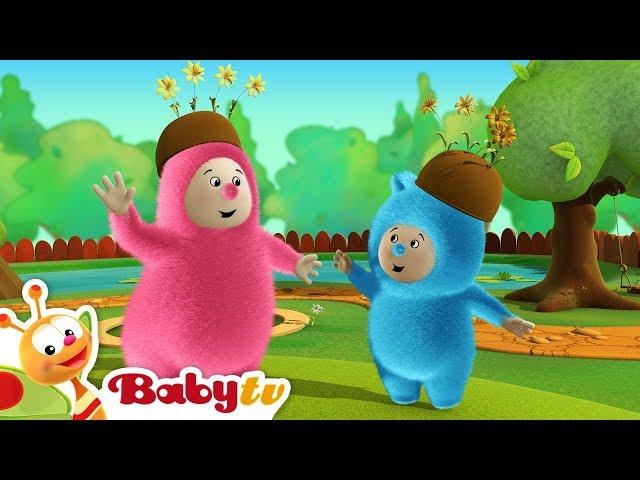 Billy Bam Bam | Orange Picking | @BabyTV