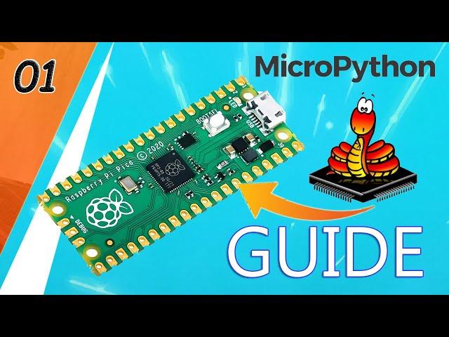 NEW! Microcontroller: Raspberry Pi Pico with MicroPython! 