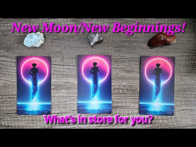 New Moon Beginnings Timelesspick a card reading!