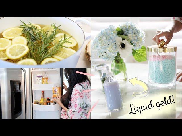 My Secrets For An Amazing Smelling Home! MissLizHeart