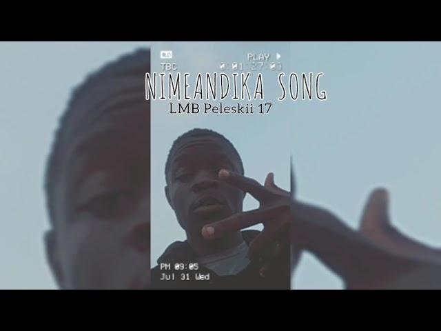 LMB Peleskii 17 - "Nimeandika Song" (Official Visualizer)