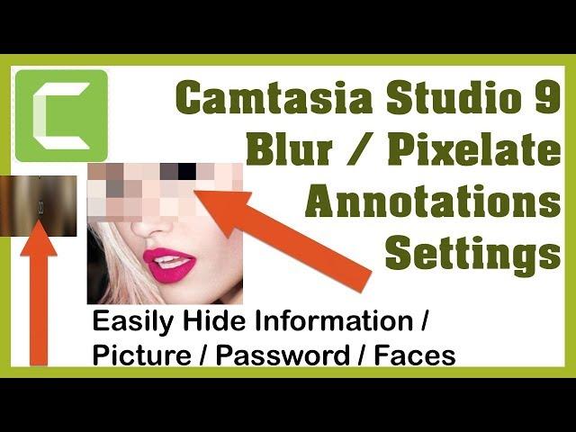 How to Blur / Pixelate / Hide Password, Sensitive, Confidential Information in Camtasia Studio 2019