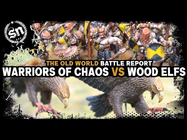 Warriors of Chaos vs Wood Elf Realms - The Old World (Battle Report)