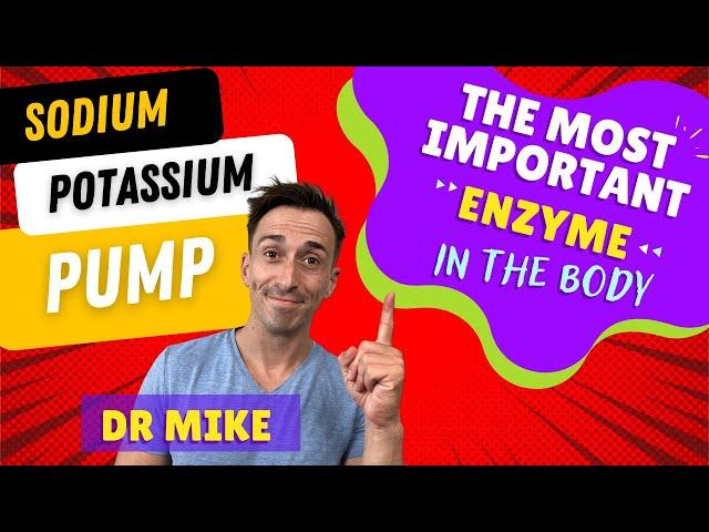 Sodium Potassium Pump | The Most Important Enzyme in the Body!