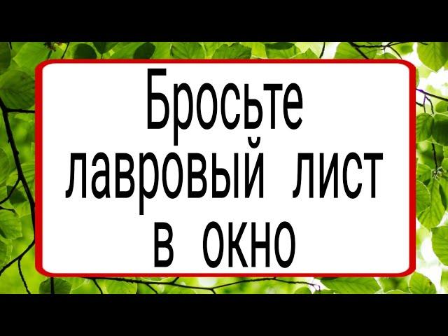 Бросьте лавровый лист в окно. | Тайна Жрицы |