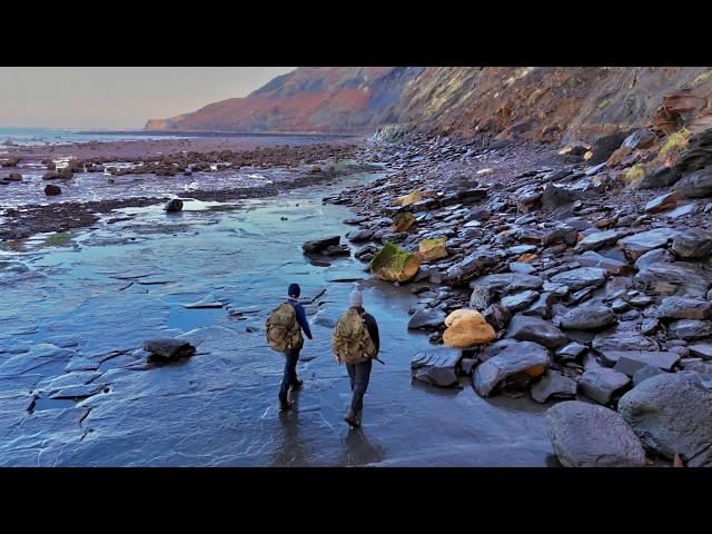 As Old As The Dinosaurs: Fossil Adventure Becomes A Jurassic Beach Treasure Hunt! We Struck Gold!