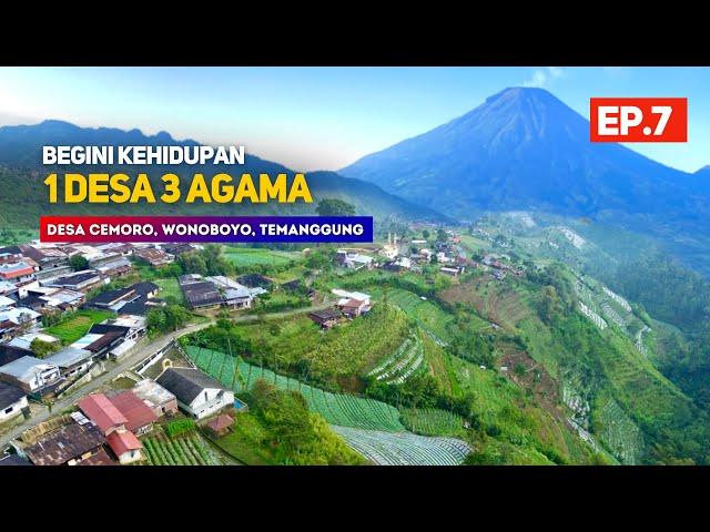 KEHIDUPAN SATU DESA DENGAN TIGA AGAMA [EP.7] Pemandangan Alam Desa Cemoro, Wonoboyo, Temanggung