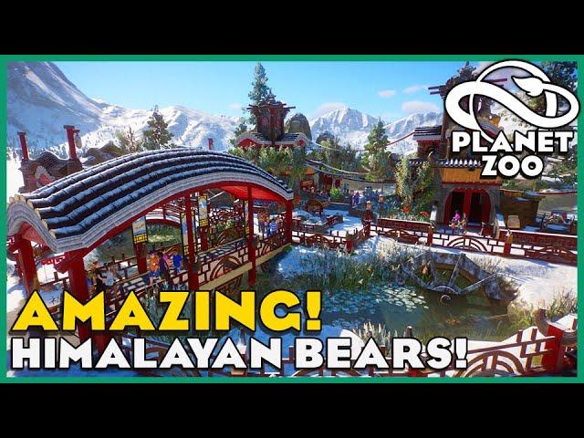 Himalayan Brown Bears! Planet Zoo: Zoo Spotlight 17