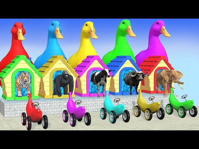 Long Slide Game With Elephant Gorilla Buffalo Hippopotamus Tiger 3d Animal Game Funny 3d Animals