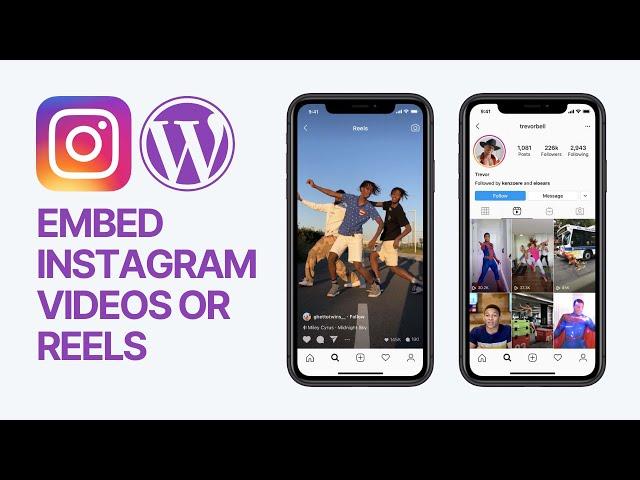 How To Embed Instagram Videos or Reels In WordPress Websites Without Plugins? 