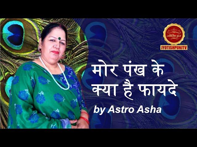 मोर पंख के क्या है फायदे by Astro Asha