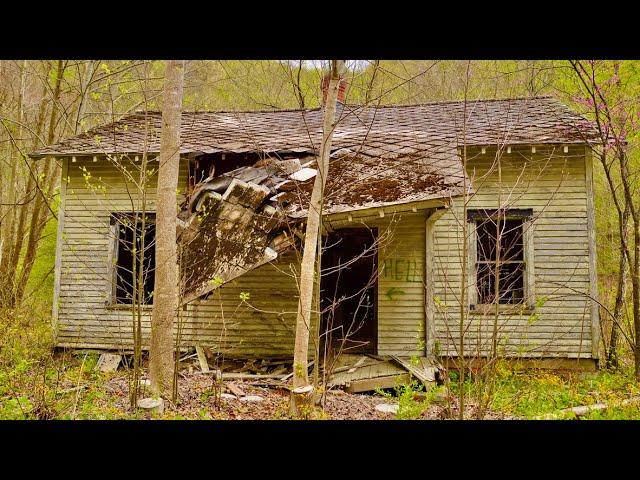 Inbred Family of Appalachia: The Truth About Inbreeding