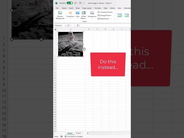 How to Insert a Picture in a Cell - Excel #Shorts