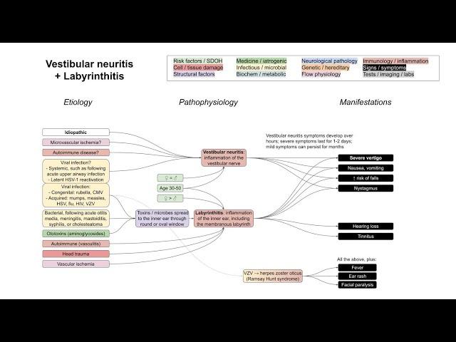 Vestibular neuritis + Labyrinthitis (mechanism of disease)