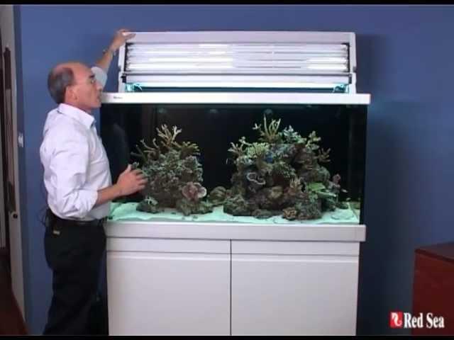 Red Sea MAX S-Line marine and coral reef aquarium systems