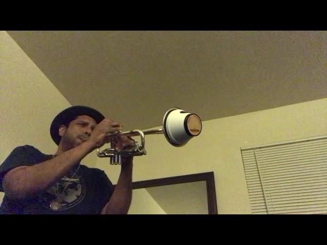 Jazz trumpet freestyle